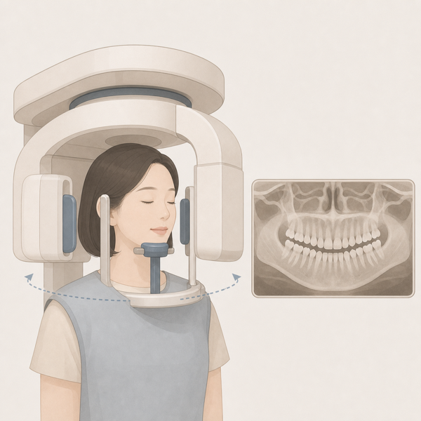 파노라마 방사선검사 의료 일러스트